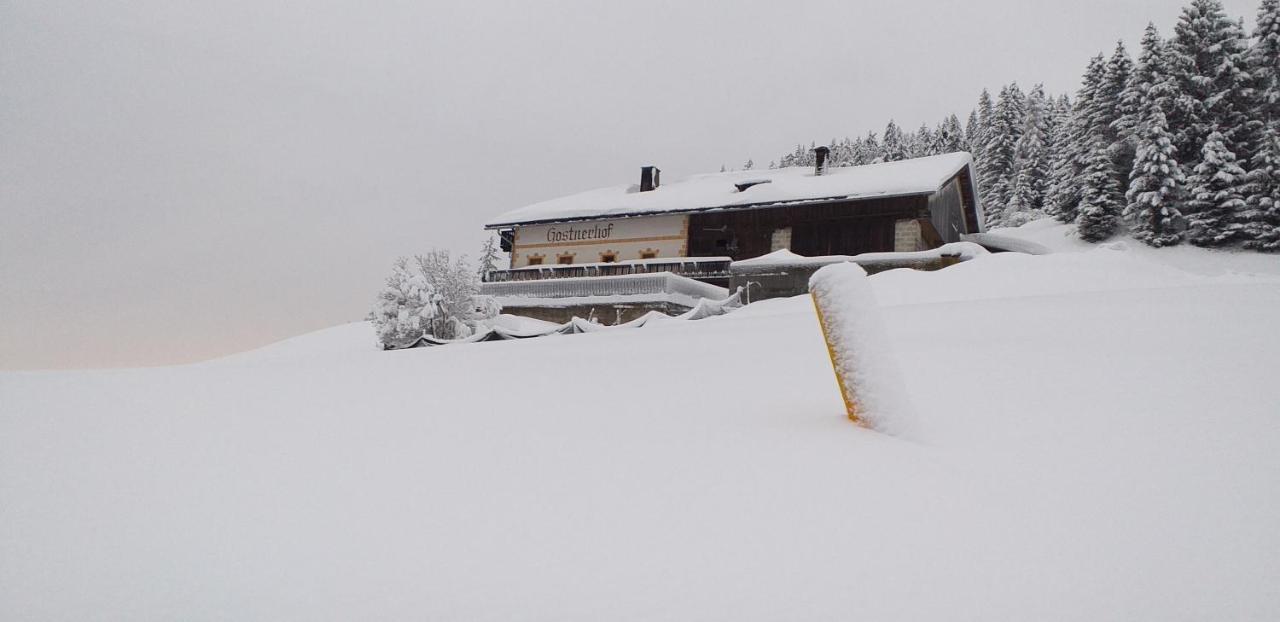 Gostnerhof Daire Dobbiaco Dış mekan fotoğraf