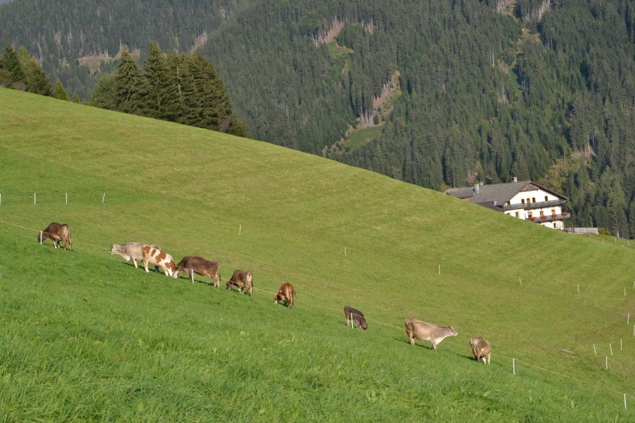 Gostnerhof Daire Dobbiaco Dış mekan fotoğraf